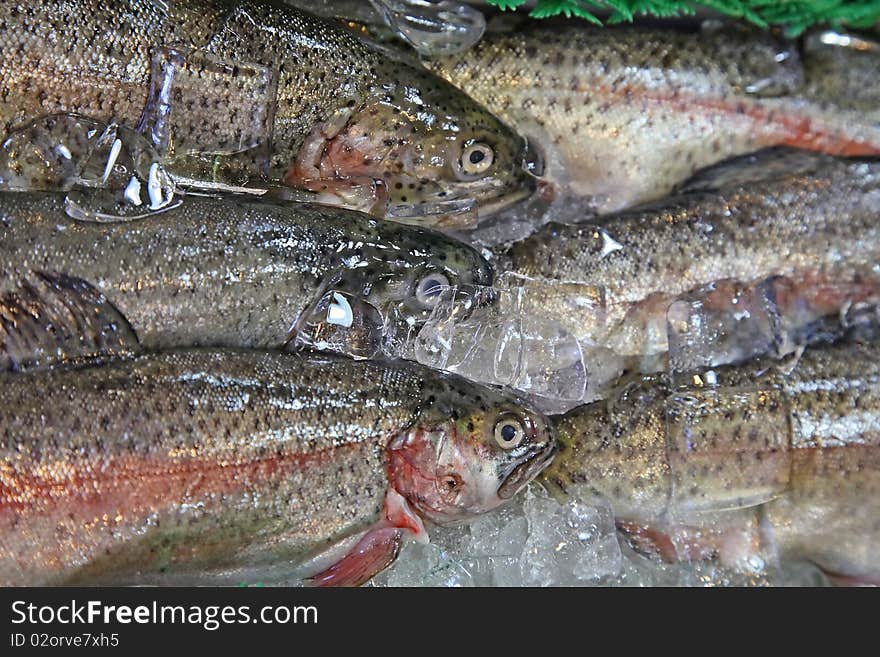 Raw salmon in a seafood market