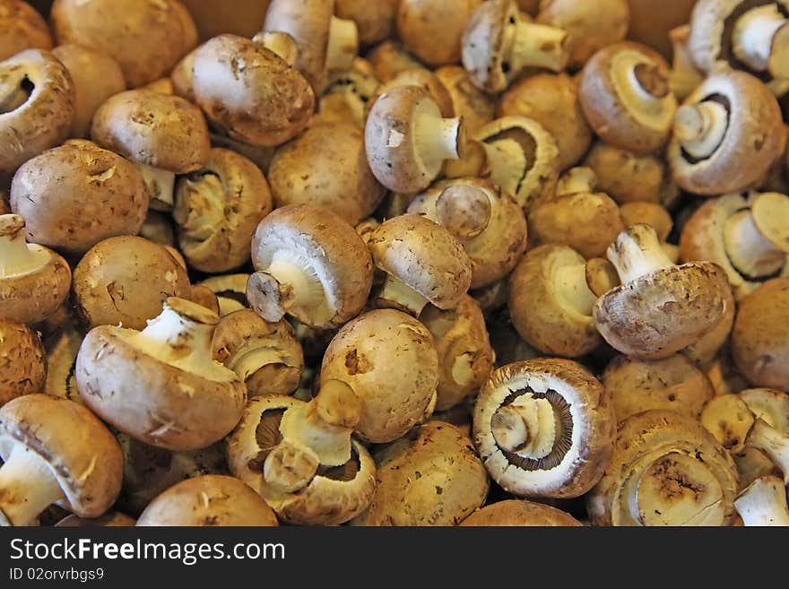 Mushrooms in a farmers' market. Mushrooms in a farmers' market