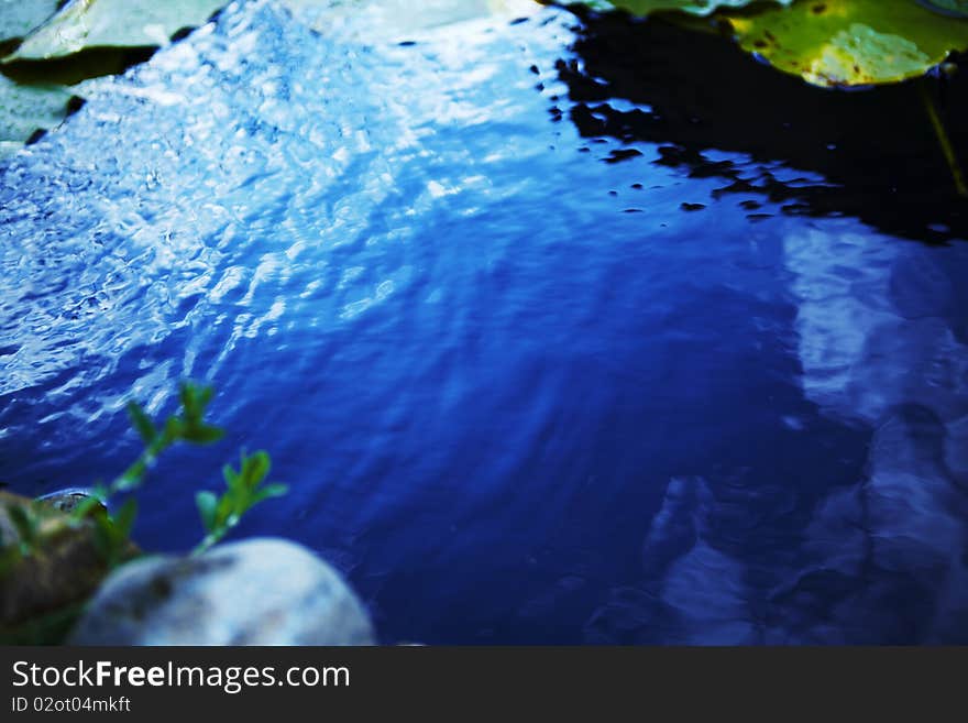 Raging water in the pond. Photo.