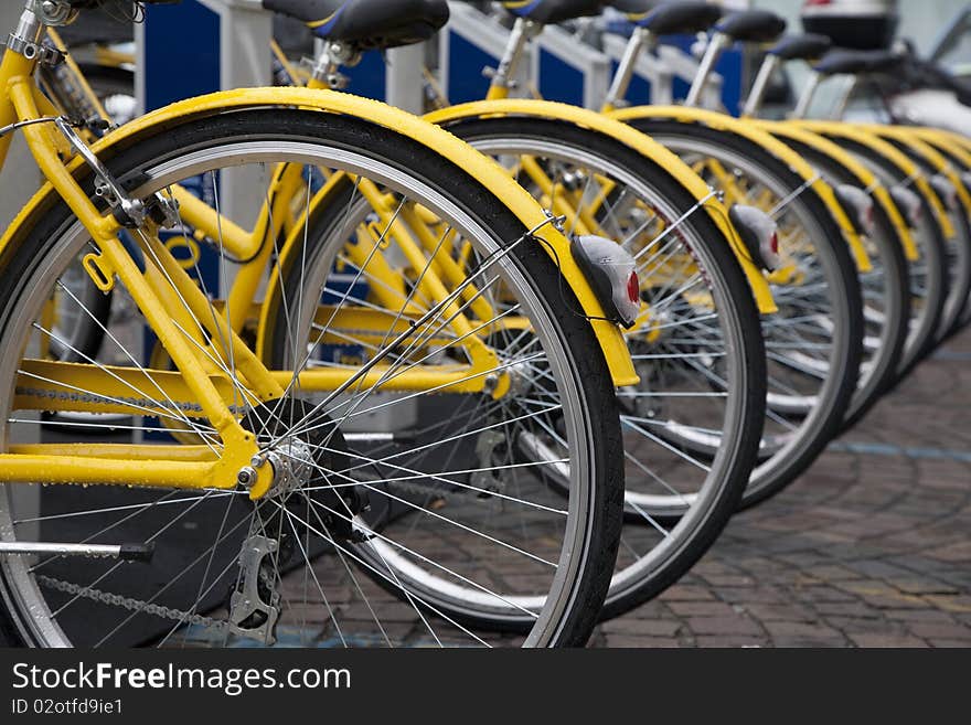 Various yellow bikes in a row for rent. Various yellow bikes in a row for rent