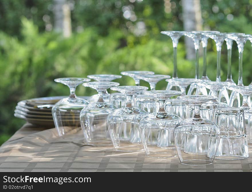 Washed rows of wineglasses