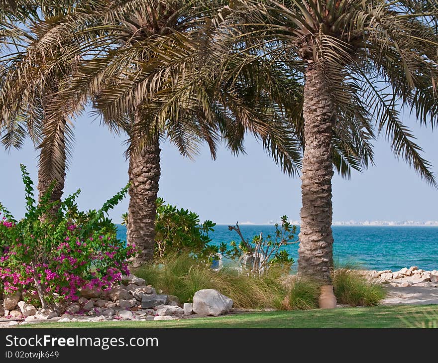 Bouganvillas and palm trees frame a beach scene in the middle east. Bouganvillas and palm trees frame a beach scene in the middle east.