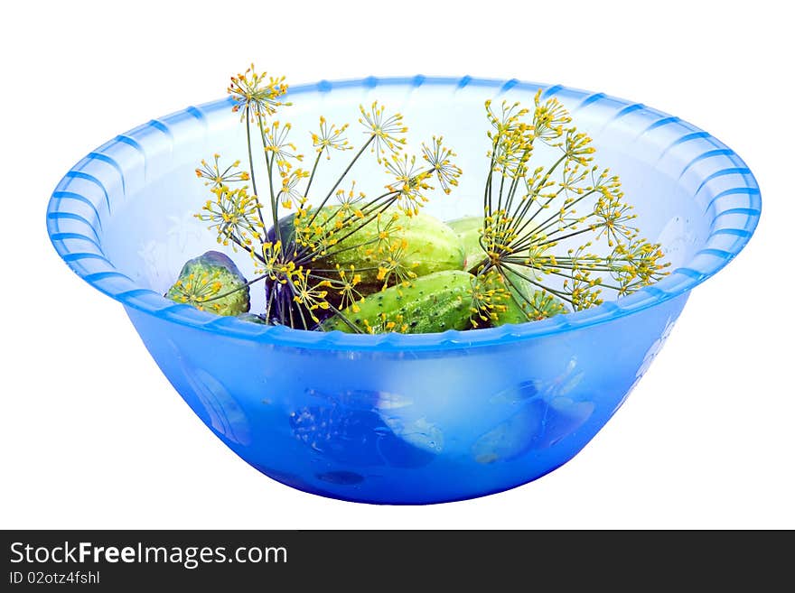 Little green cucumbers and  dill in the plastic bowl isolated on white