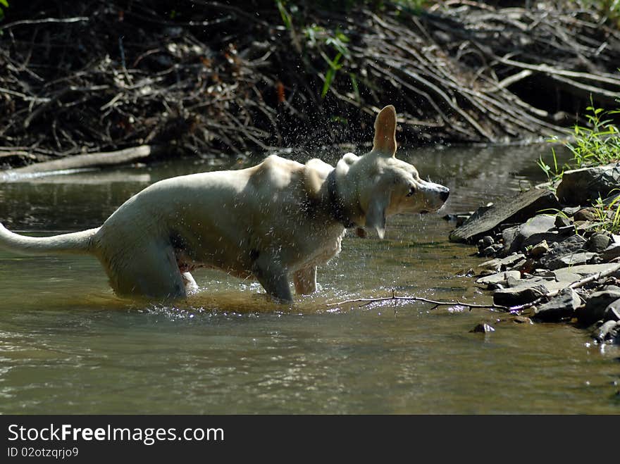 Cooling off