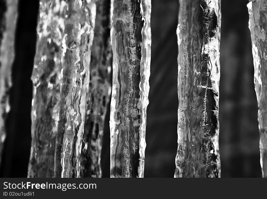 Icicles in black and white