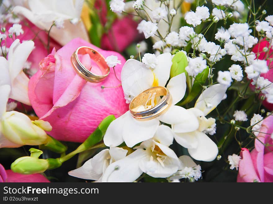 Two rings on some red and white roses. Two rings on some red and white roses.