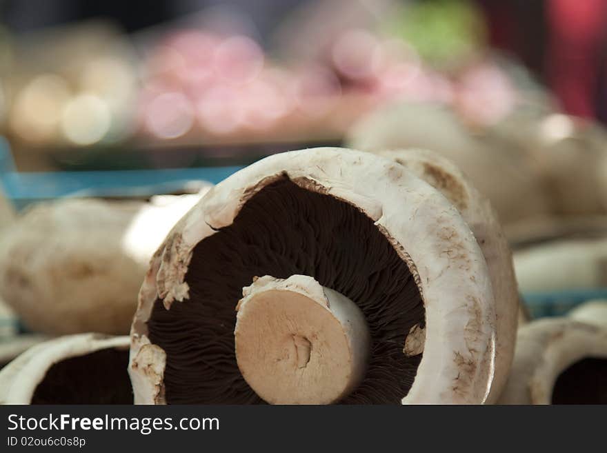 Portobello Mushroom At Market