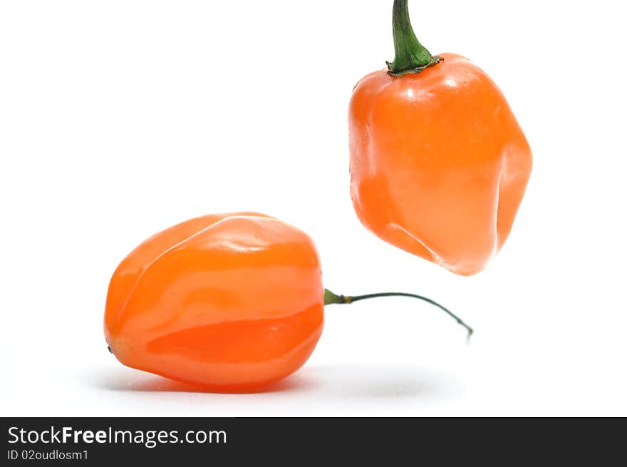 Isolated fresh hot pepper called habanero