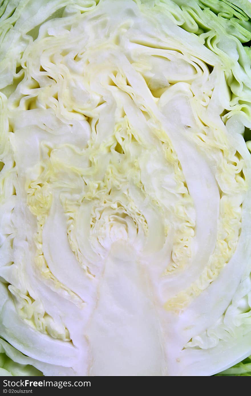 Cabbage background