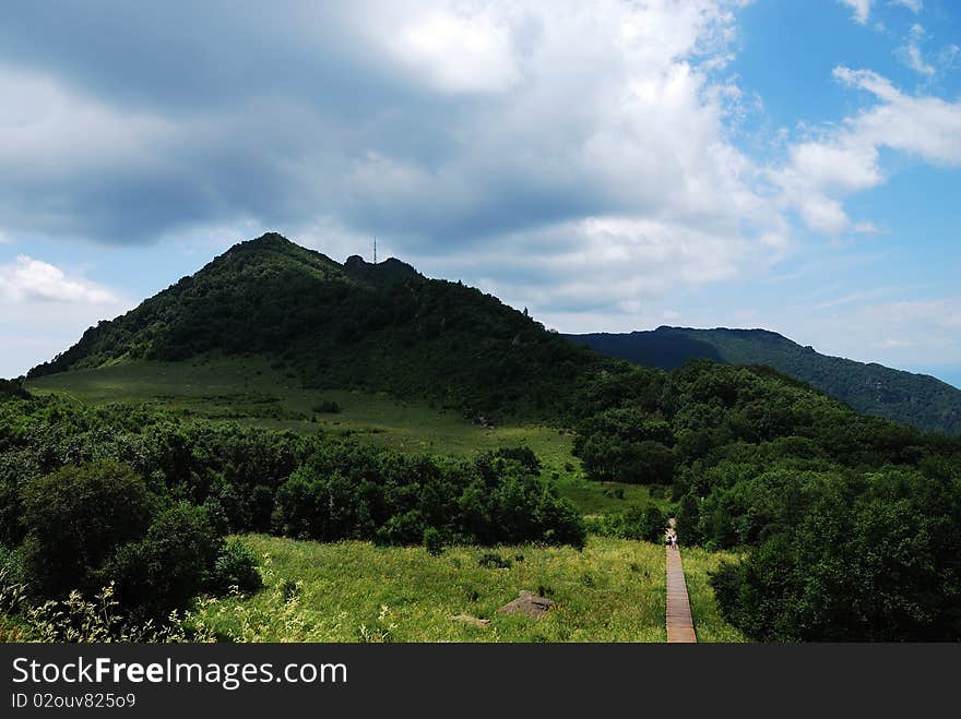 The photo taken in Beijing Baihua mountain. The photo taken in Beijing Baihua mountain