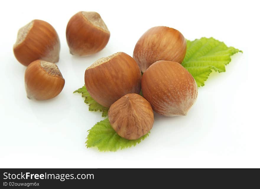 Group of wood nuts with leaves on white background