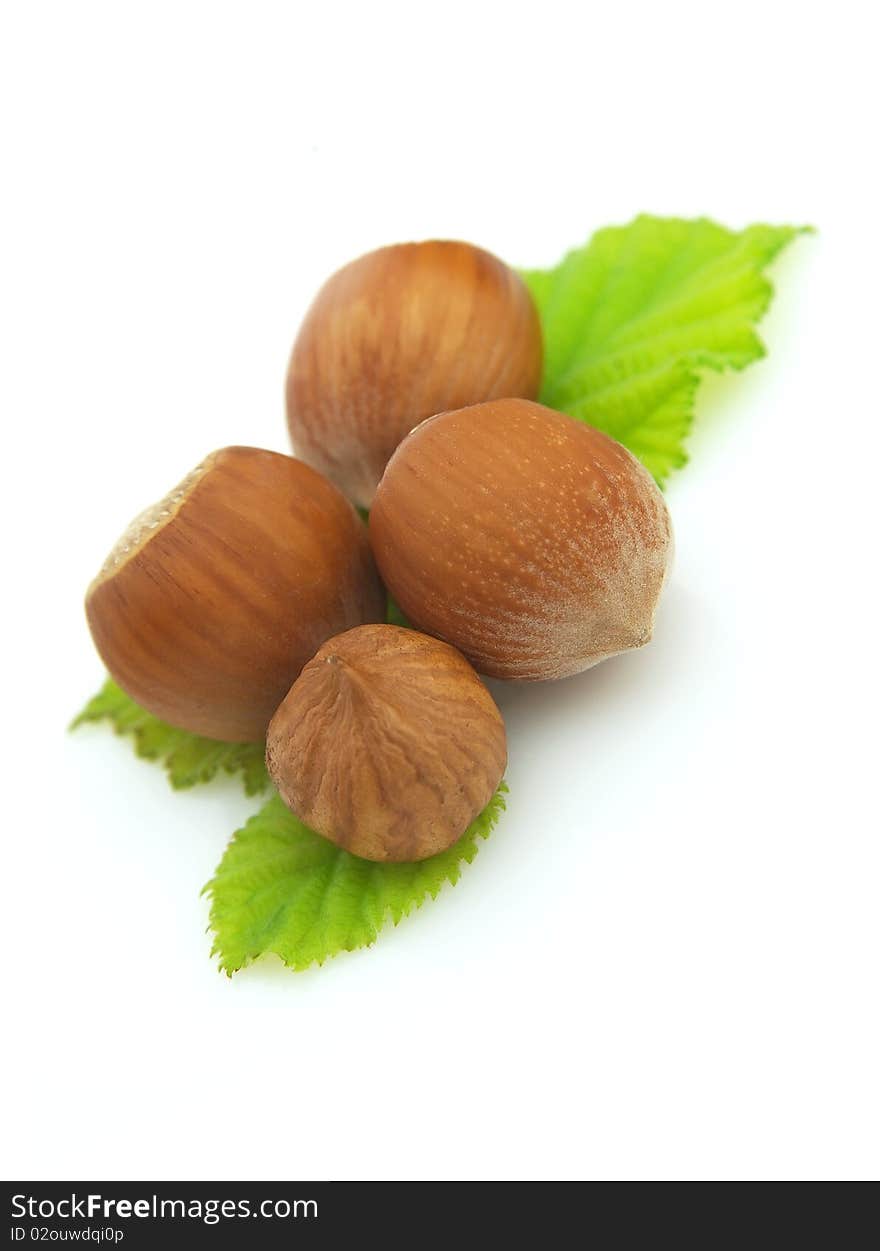 Four Ripe Wood Nuts