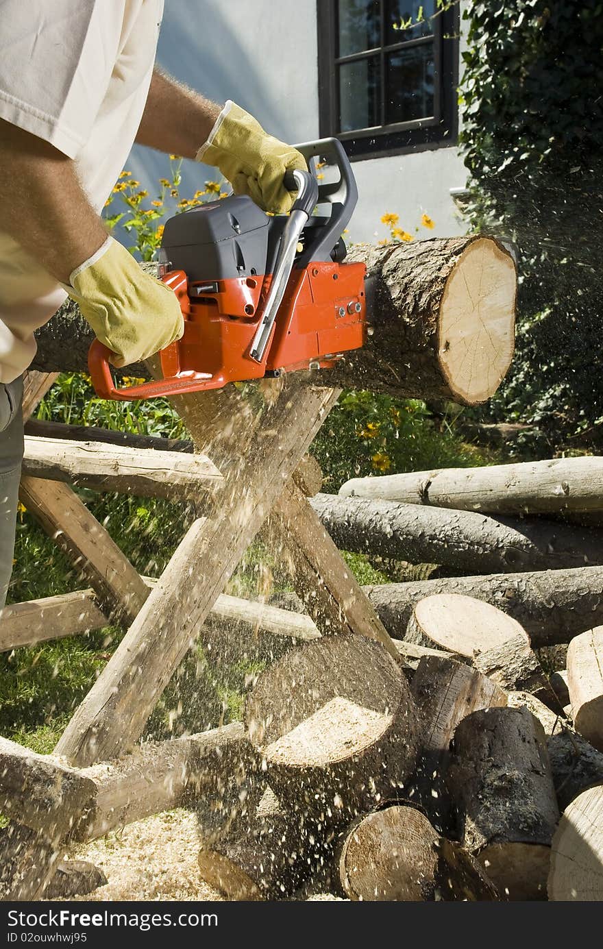 The chainsaw cutting the log of wood