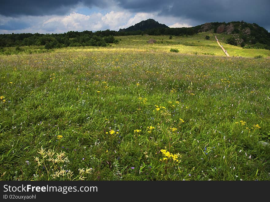 mountain and meadow