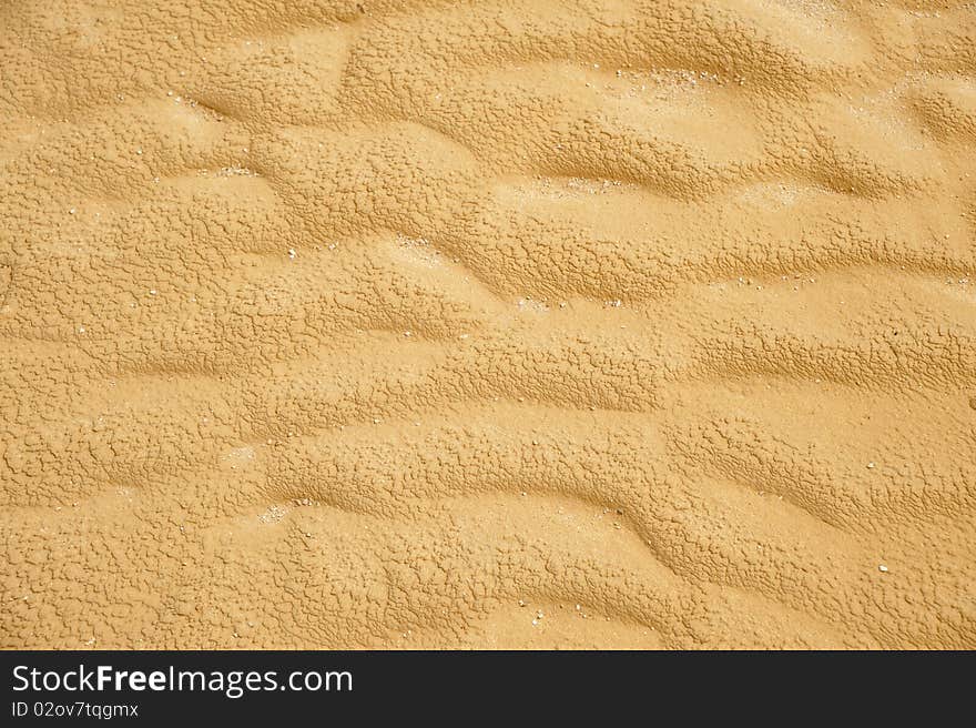 The desert dry sand background texture. The desert dry sand background texture.