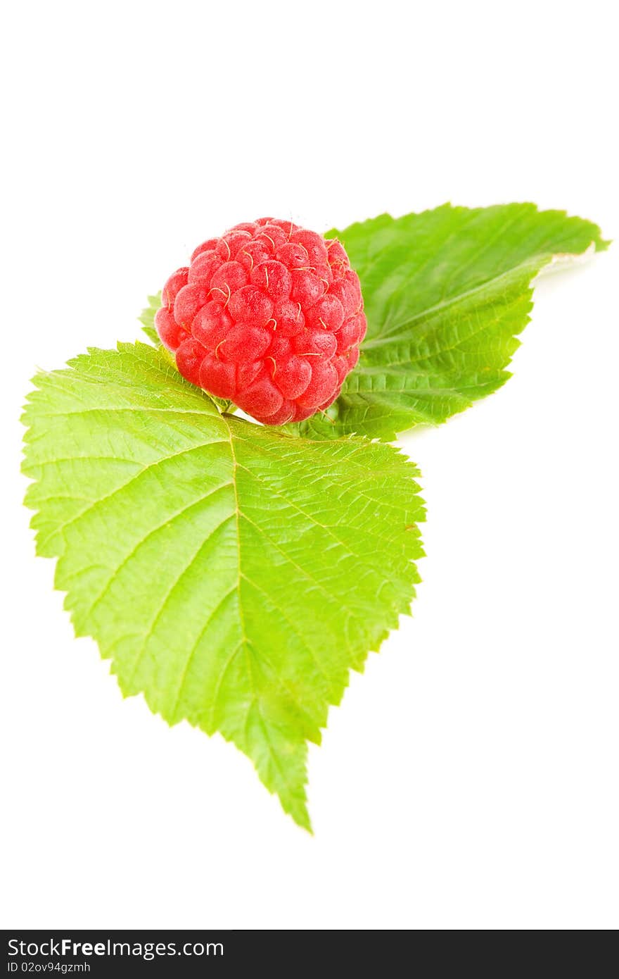 Raspberry