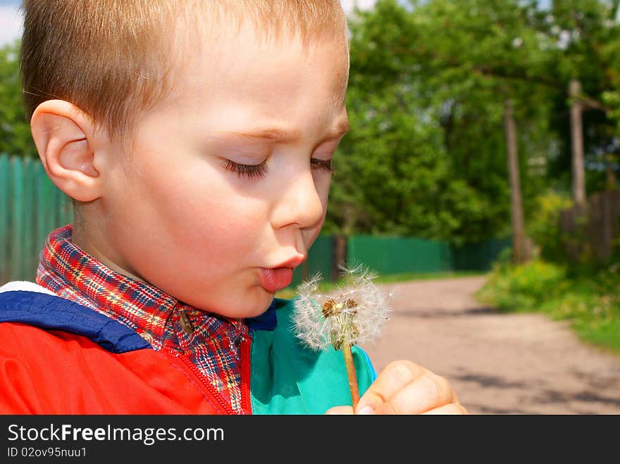 The child holds the seeds of a dandelion