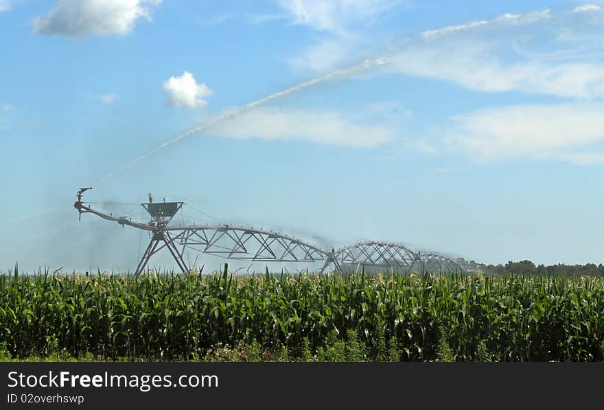 Irrigating a Corn Field