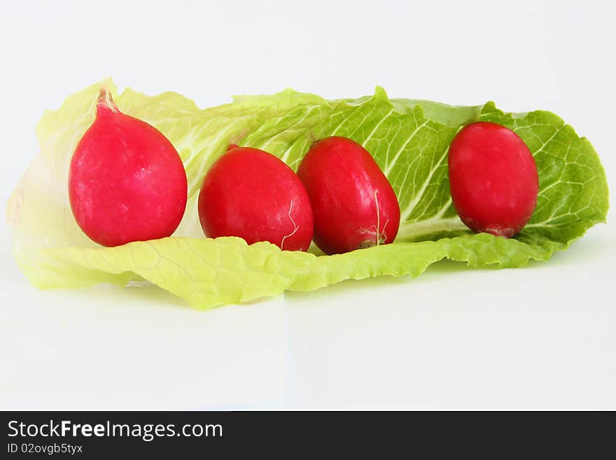 Radish And Lettuce 2