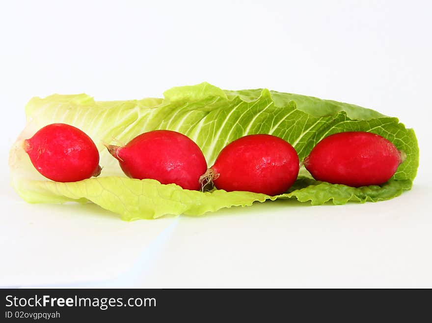 Radish and lettuce 1