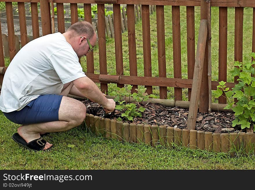 Planting spring flowers