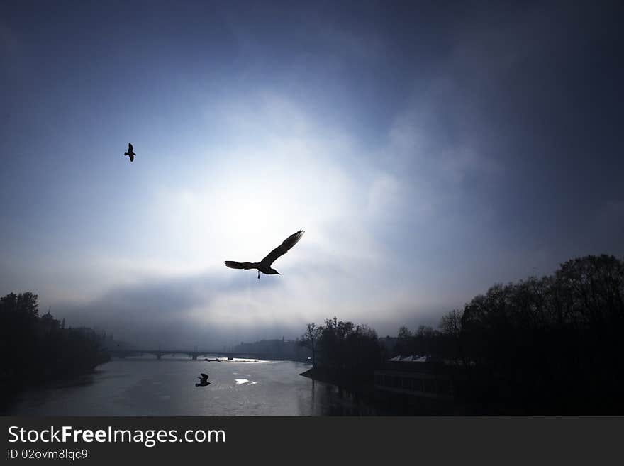 Vltava River, the center of Prague. November 2009