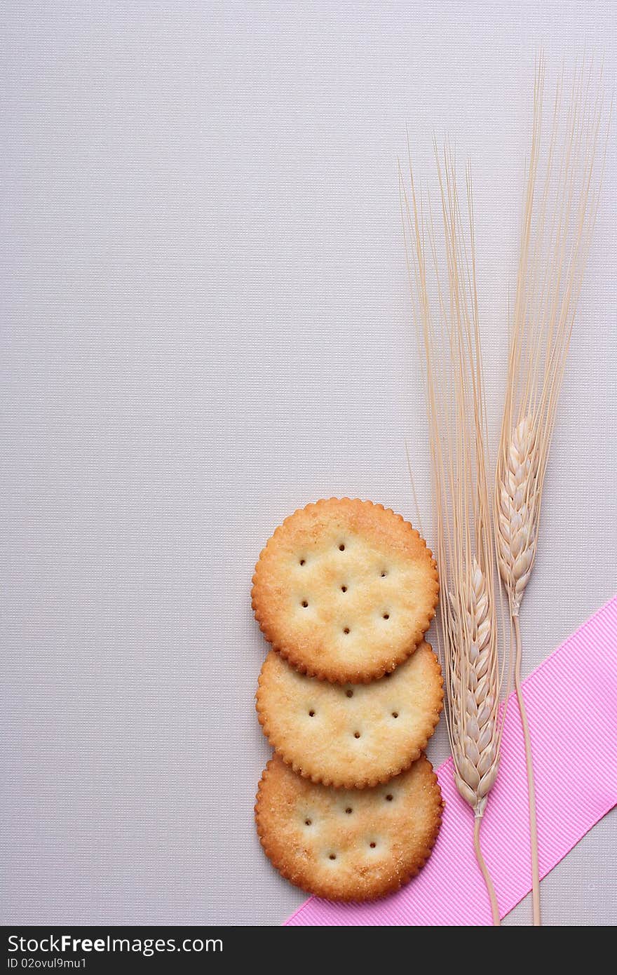 Fresh cookies strewed by salt on a grey background with a dry cone.