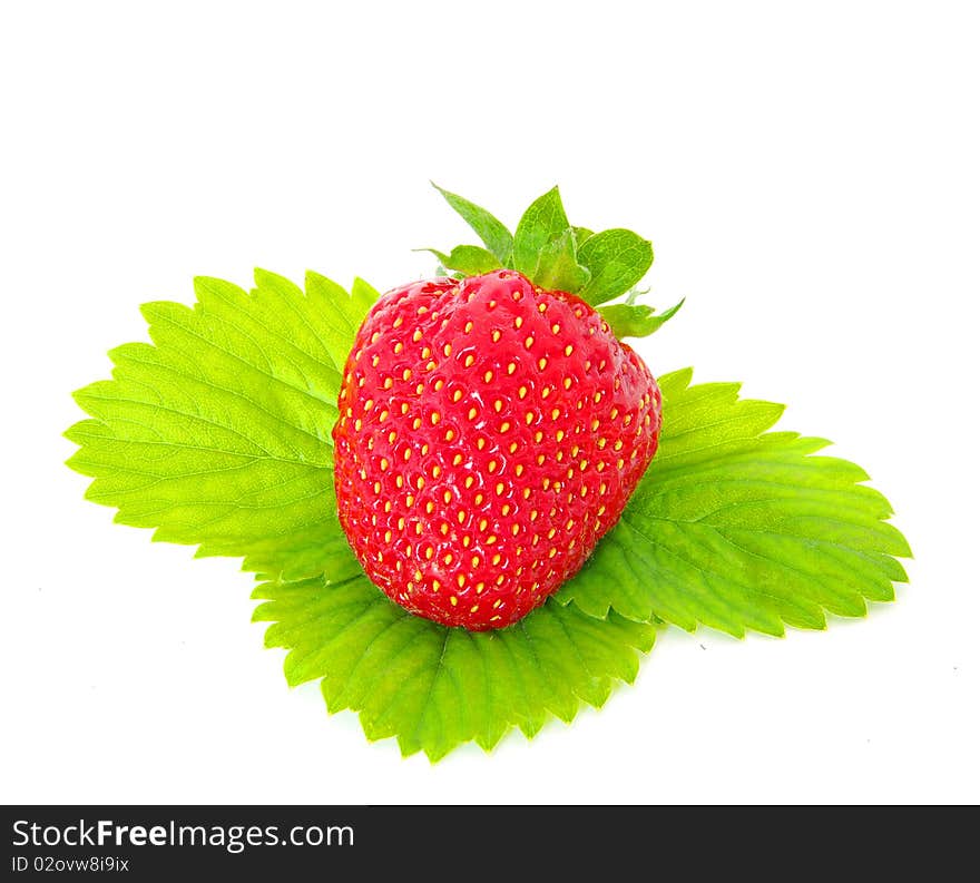 Fresh and juicy strawberry isolated on white