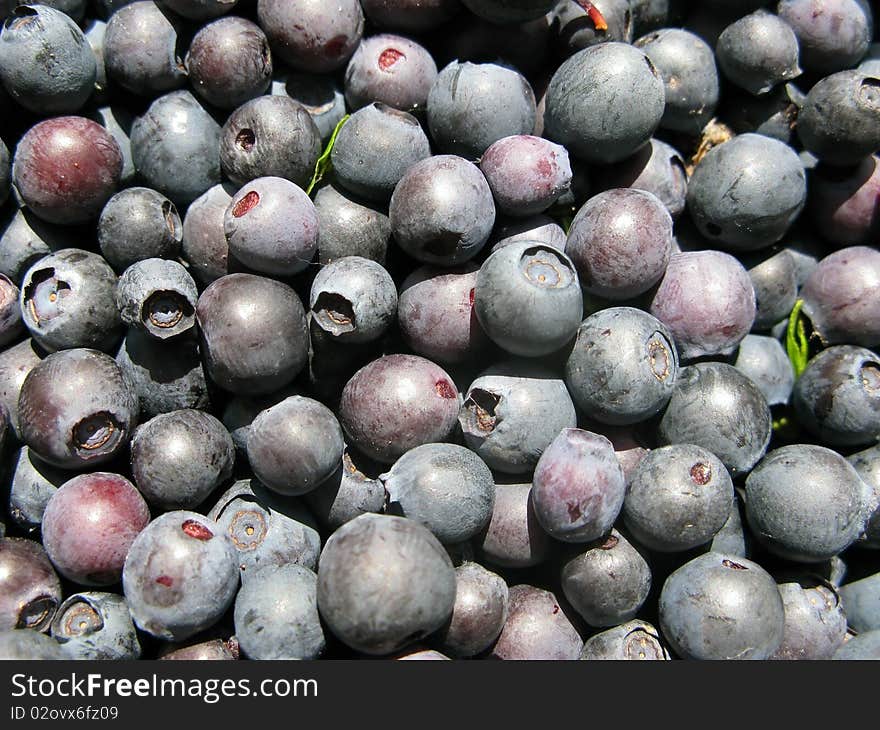 Close-up fresh blueberrie background