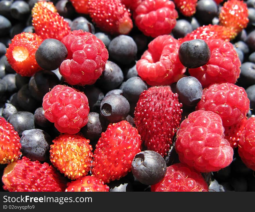 Background of assorted fresh berries close up