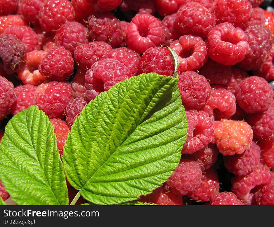 Red raspberries as background with leaf