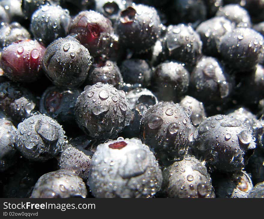 Close-up fresh blueberrie with droplets of water