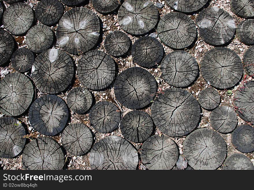 Black Natural Tree Rings Background