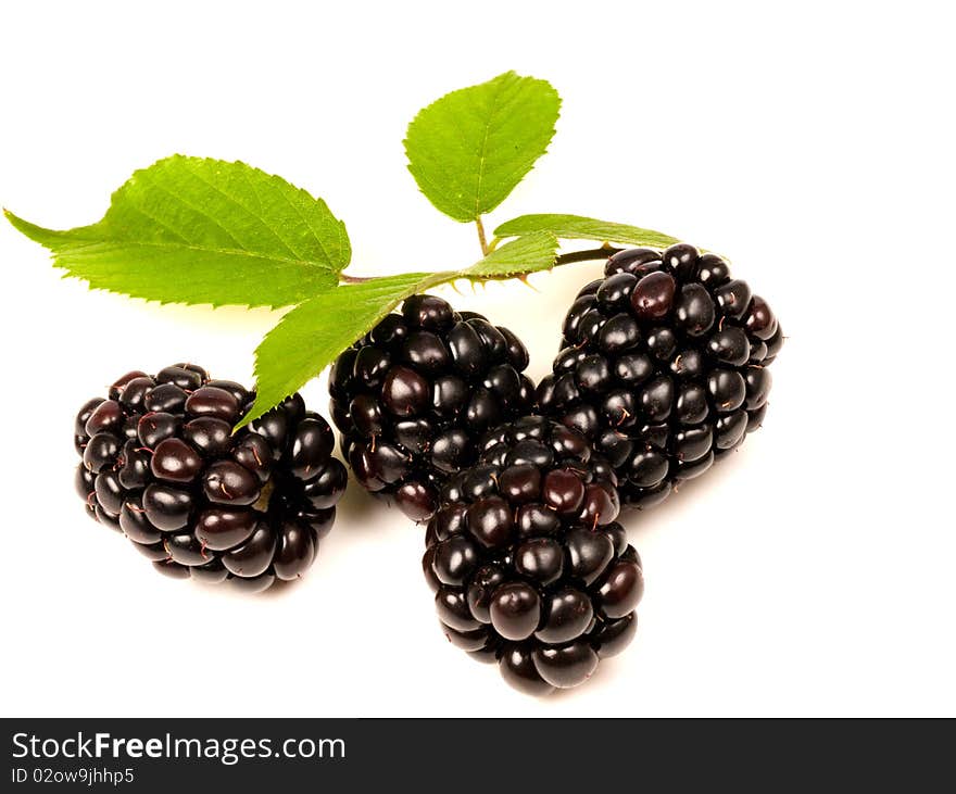 Blackberries