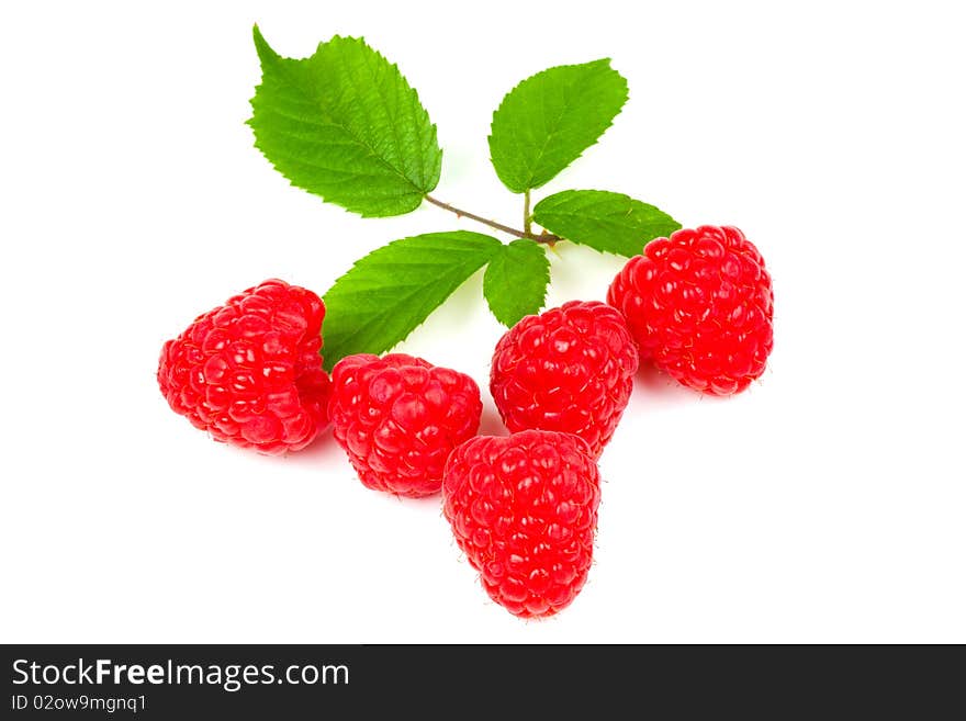 Raspberries