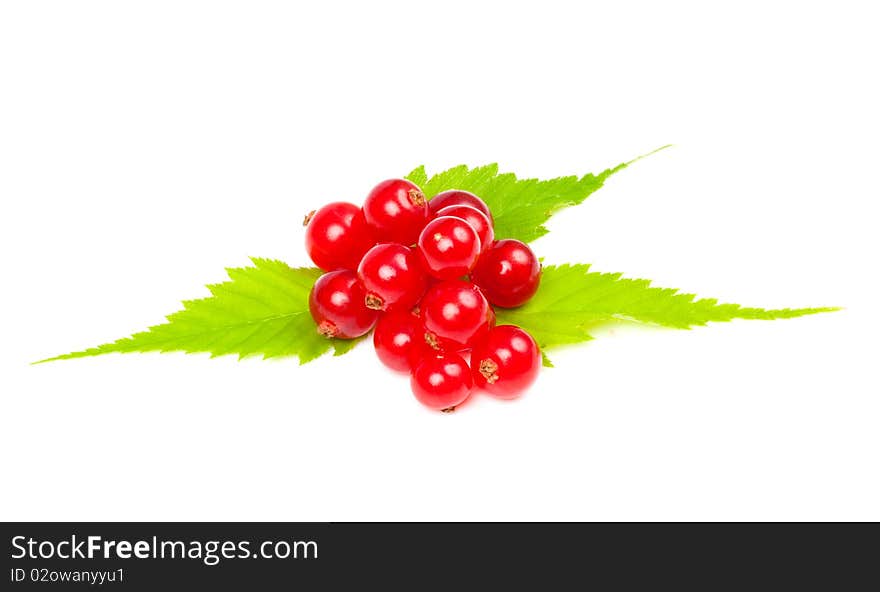 Pile of redcurrants on three leaves on white background