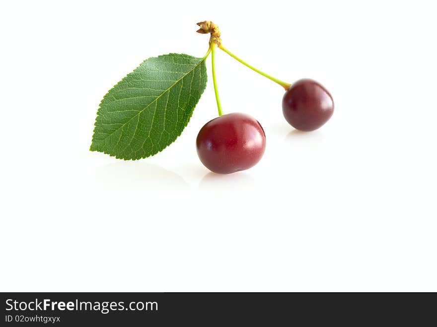 Two ripe cherries, with slip, close-up, on white background, copy space. Two ripe cherries, with slip, close-up, on white background, copy space.