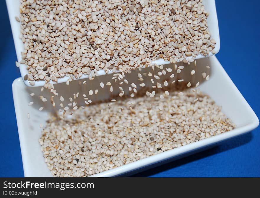 White sesame seeds. Sesame seeds are believed to be one of the first condiments as well as one of the first plants to be used for edible oil.