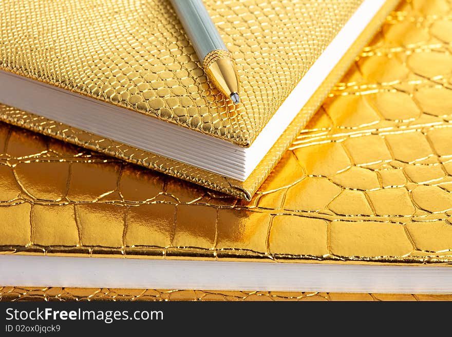 Golden notebooks with silver pen