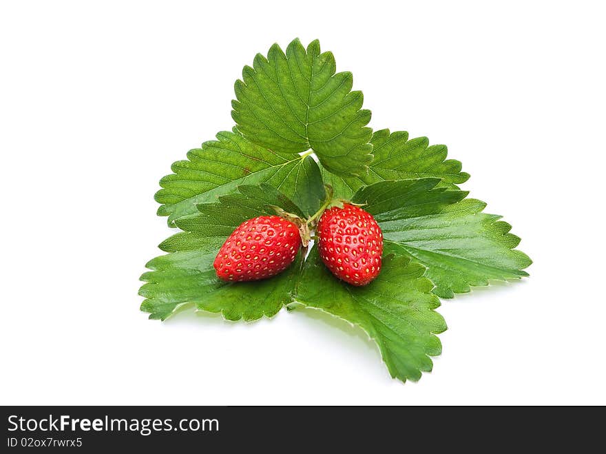 Fresh strawberry fruits with green leaves