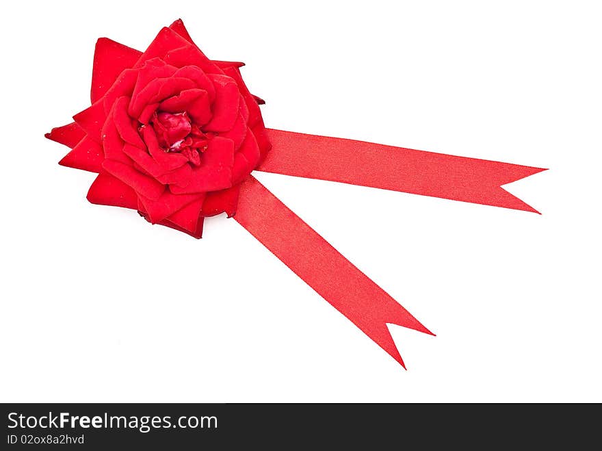 Red rose with red ribbon on white