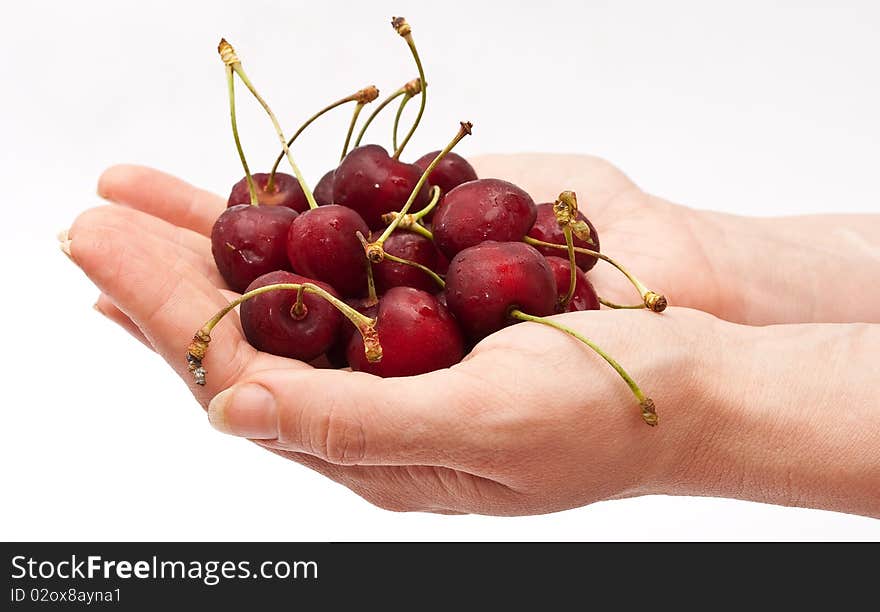 Hands holding red cherry