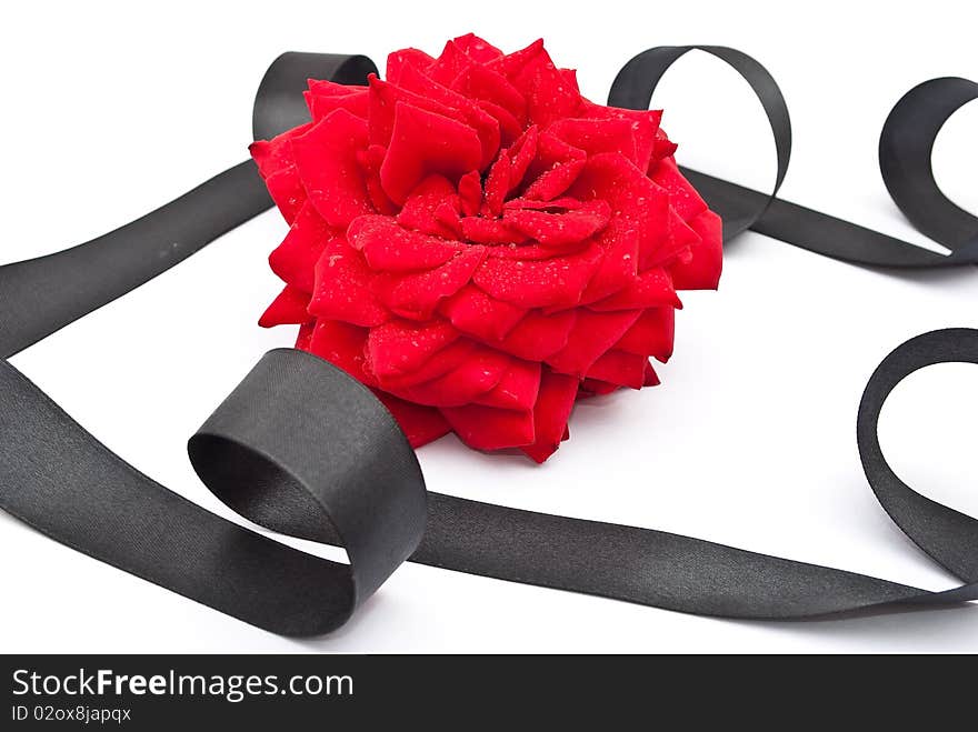 Red rose with black ribbon on white