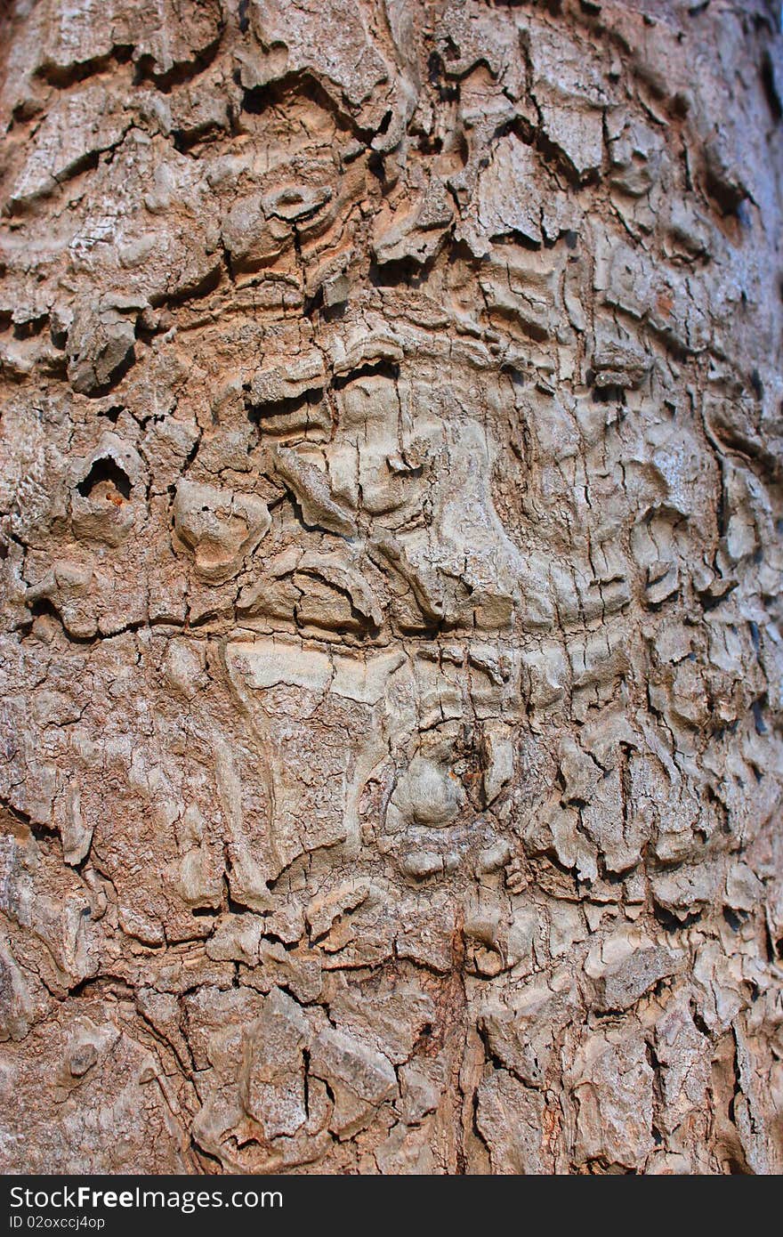 Bark is a beautiful pattern on a piece of art.