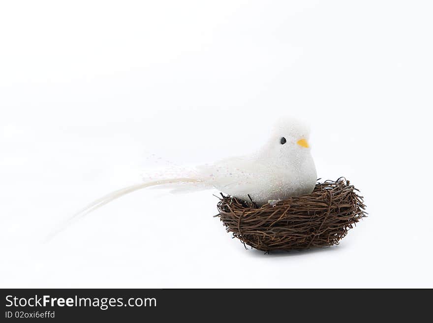 White Bird On The Nets