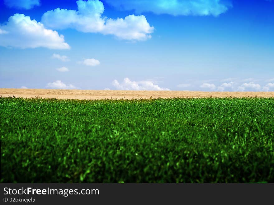 Leveled photo of green grass, yellow sand, and blue sky. Leveled photo of green grass, yellow sand, and blue sky