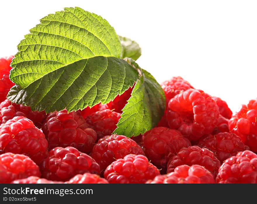 Berries of a red raspberry on isolated