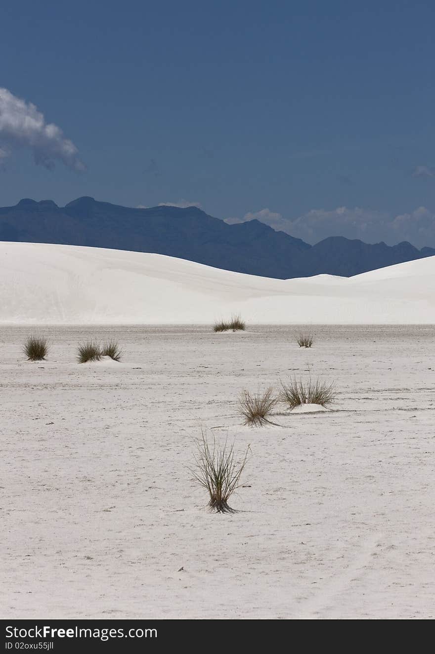 White sands