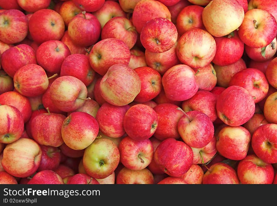 Background made of ripe red apples. Background made of ripe red apples