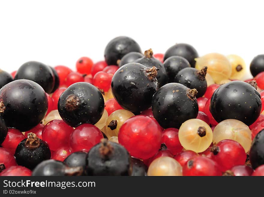 Black, Red And White Currants